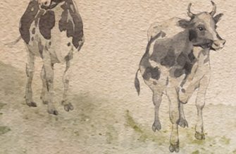 Fauna and Flora of the Azores