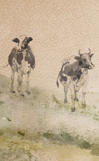 Fauna and Flora of the Azores