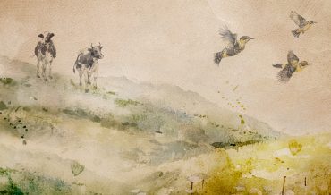 Fauna and Flora of the Azores