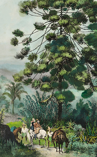 Ouro Branco – Minas Gerais