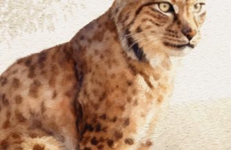 Parque Nacional de Doñana