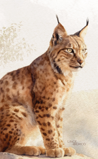 Parque Nacional de Doñana