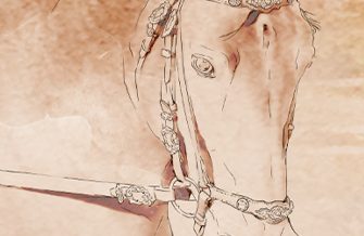 Real Coudelaria de Cachoeira do Campo