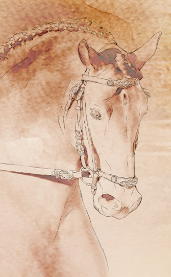 Real Coudelaria de Cachoeira do Campo