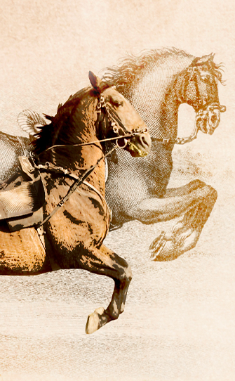 Ares Altos Ensinamentos