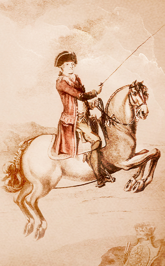 D. Pedro Meneses Marques Marialva